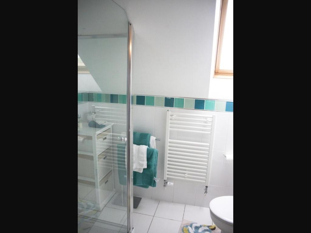 Y Garth Luxury Bed And Breakfast Dinas  Værelse billede